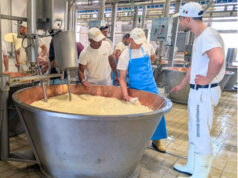 Il consorzio del Parmigiano Reggiano investe nei giovani e nella formazione