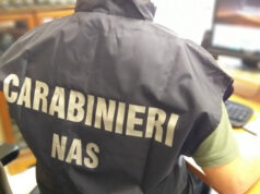 NAS, sicurezza alimentare: il bilancio dei primi sei mesi del 2025