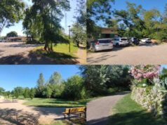 Macchioni contro il degrado e lo spaccio: “Il quartiere Pista non merita l’abbandono della Giunta”