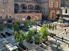 Alberi nelle piazze di Bologna, precisazione dell’Amministrazione comunale sui costi sostenuti