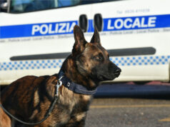 Mirandola, unità cinofila in azione: bonificate aree sensibili con controlli mirati