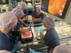 Colangioscopia, l’Endoscopia Digestiva dell’Ausl di Modena centro di eccellenza per la formazione avanzata