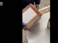 Traffico internazionale di stupefacenti via posta, sequestrati 55 kg di droga. Un arresto