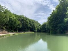 Casina: sabato 5 luglio secondo appuntamento con il ciclo Il Teatro nei boschi