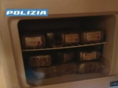 Ancora un’operazione antidroga in Bolognina. Arrestato mentre rientrava dalla spesa, trovati nel frigo di casa 15 kg di droga