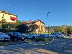 Altra pianta caduta nella piazza della chiesa a San Michele