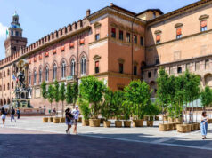 Conclusa questa mattina in piazza della Mercanzia la posa degli alberi nel centro di Bologna
