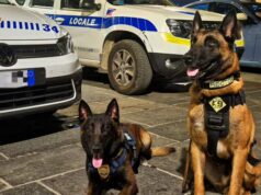 Sassuolo: controlli congiunti ai Giovedì sotto le stelle