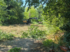 Avviata a Formigine la pulizia dell’area dietro ai campi da tennis