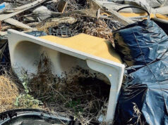 Abbandono di rifiuti: a San Lazzaro nel 2025 già 292 le irregolarità accertate