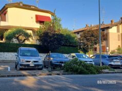 Un lettore segnala ancora una pianta caduta nel parcheggio della chiesa a San Michele