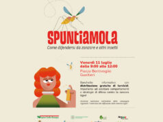 Contrasto alla diffusione della zanzara tigre: l’Unione Bassa Reggiana riceve finanziamenti per l’attuazione di azioni educative integrate