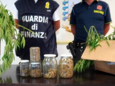 Chieti, 20 chili di marijuana nascosti tra la vegetazione