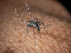 In Italia 351 casi di West Nile, 22 i decessi