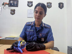 I controlli dei carabinieri a Bologna città