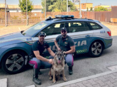 “Luna”, pastore tedesco smarrito al casello di Borgo Panigale, soccorsa dalla Polizia Stradale