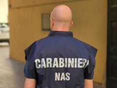 I NAS di Parma hanno intensificato i controlli sullo street food. Contestazioni e sanzioni