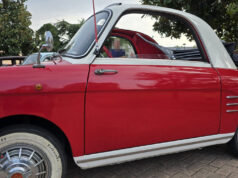 Skandiano, il vintage invade il Parco della Resistenza