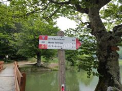 Analisi Lapam Confartigianato sull’Appennino Reggiano tra demografia d’impresa e occupazione