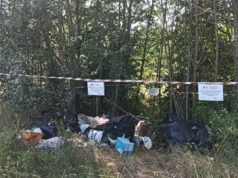 Abbandono illecito di rifiuti nel parco della Memoria a San Cesario sul Panaro