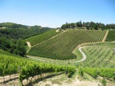 Due nuovi bandi GAL per la viabilità rurale vicinale in appennino bolognese