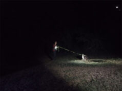 Buona affluenza per la simulazione di ricerca persone con unità cinofila tenutasi sabato notte sulle colline di Dinazzano