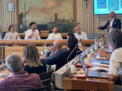 Peste suina africana: a Reggio Emilia e a Modena il punto della situazione