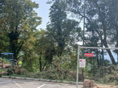 Castelnovo Monti: gli assessori Dallaporta e Severi intervengono sui diversi interventi in corso sul verde pubblico