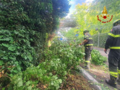 Temporali: diverse richieste d’intervento ai Vigili del fuoco
