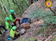 Anziano disperso e donna infortunata soccorsi sull’Appennino bolognese