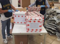 Bologna, sequestrate 500 kg di infiorescenze di canapa. Una denuncia
