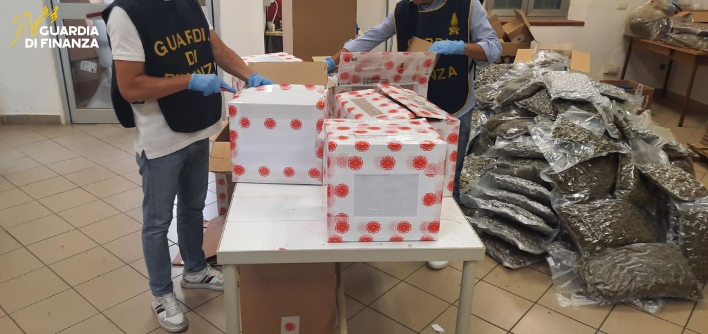 Bologna, sequestrate 500 kg di infiorescenze di canapa. Una denuncia