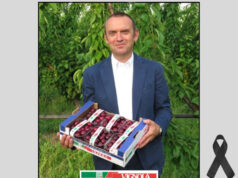 Il cordoglio dell’assessore Mammi per la scomparsa di Andrea Bernardi, presidente del Consorzio della Ciliegia di Vignola IGP