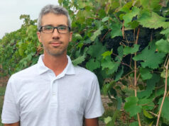 CIA Reggio Emilia: “Vendemmia, qualità eccezionale ma in forte calo la produzione”