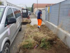 In corso a Modena manutenzioni del verde stradale per 180 mila euro