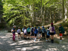 Mirasummer 2025: a Mirandola un’estate di esperienze, sport e scoperta per oltre 300 fra bambini e ragazzi