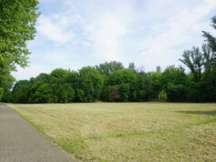 Trattamento di disinfestazione presso il parco delle Montagnole di Campogalliano