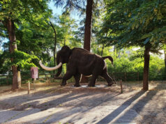 Domenica a San Lazzaro di Savena riparte Prehistorica