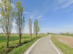 Lavori di bitumatura sulla SP 68 a Novellara