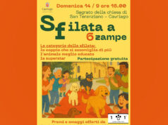 “Sfilata a 6 zampe”: a Cavriago un’iniziativa per valorizzare il rapporto tra i cani e loro padroni