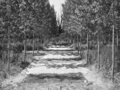 Campogalliano, tornano i “Martedì in centro” con il progetto “Caro Campo”