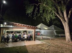 Scandiano: oltre 2.000 euro raccolti per salvare l’Olmo del Bisamar