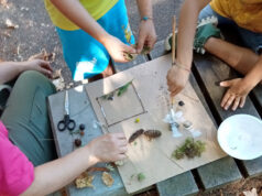 Aliante Cooperativa Sociale: Settembre ricco di eventi al Centro per le Famiglie del Frignano