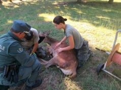 Caccia, otto sanzioni della Polizia provinciale nel giorno di apertura