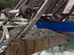 Pesca, moria delle vongole: la Regione segue da vicino l’evolversi della situazione