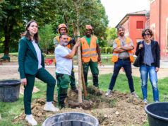 “I 100 alberi” dalle piazze del centro di Bologna alle scuole della città
