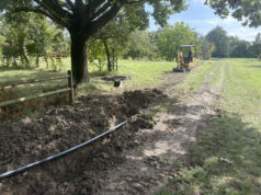 Con Bimbalbero al parco della Resistenza di Modena 1.278 nuovi alberi