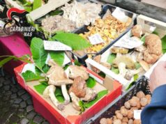 Sequestri e sanzioni in Val di Taro per irregolarità nella vendita di prodotti alimentari