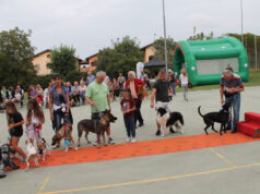 A San Bartolomeo arriva la 18ª Edizione della Sfilata a Sei Zampe