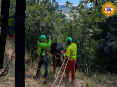Escursionista soccorso nella zona di Monte Adone sull’Appennino bolognese